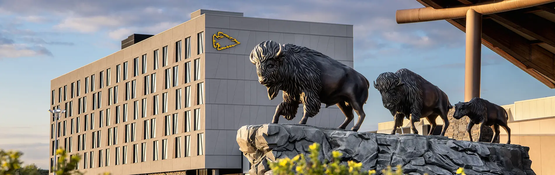 Dakota Dunes Resort Exterior with buffalo